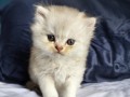 https://www.waibe.fr/sites/delphine59h/medias/images/__HIDDEN__galerie_25/IMG_20260908_142106.jpg