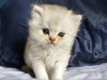 https://www.waibe.fr/sites/delphine59h/medias/images/__HIDDEN__galerie_25/IMG_20260908_142107.jpg