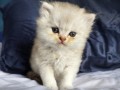 https://www.waibe.fr/sites/delphine59h/medias/images/__HIDDEN__galerie_25/IMG_20260908_142108.jpg