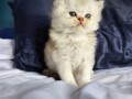 https://www.waibe.fr/sites/delphine59h/medias/images/__HIDDEN__galerie_25/IMG_20260908_142115.jpg