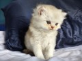https://www.waibe.fr/sites/delphine59h/medias/images/__HIDDEN__galerie_25/IMG_20260908_142116.jpg