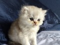 https://www.waibe.fr/sites/delphine59h/medias/images/__HIDDEN__galerie_25/IMG_20260908_142119.jpg