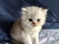 https://www.waibe.fr/sites/delphine59h/medias/images/__HIDDEN__galerie_25/IMG_20260908_142120.jpg
