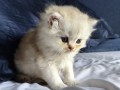 https://www.waibe.fr/sites/delphine59h/medias/images/__HIDDEN__galerie_25/IMG_20260908_142121.jpg