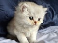 https://www.waibe.fr/sites/delphine59h/medias/images/__HIDDEN__galerie_25/IMG_20260908_142125.jpg