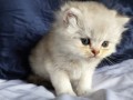 https://www.waibe.fr/sites/delphine59h/medias/images/__HIDDEN__galerie_25/IMG_20260908_142127.jpg