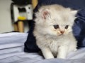 https://www.waibe.fr/sites/delphine59h/medias/images/__HIDDEN__galerie_25/IMG_20260908_142132.jpg