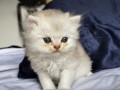 https://www.waibe.fr/sites/delphine59h/medias/images/__HIDDEN__galerie_25/IMG_20260908_142133.jpg