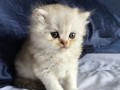 https://www.waibe.fr/sites/delphine59h/medias/images/__HIDDEN__galerie_25/IMG_20260908_142139.jpg