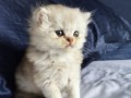 https://www.waibe.fr/sites/delphine59h/medias/images/__HIDDEN__galerie_25/IMG_20260908_142141.jpg