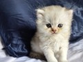 https://www.waibe.fr/sites/delphine59h/medias/images/__HIDDEN__galerie_25/IMG_20260908_142144.jpg