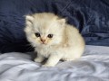 https://www.waibe.fr/sites/delphine59h/medias/images/__HIDDEN__galerie_25/IMG_20260908_142208.jpg