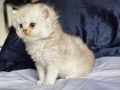 https://www.waibe.fr/sites/delphine59h/medias/images/__HIDDEN__galerie_25/IMG_20260908_142213.jpg