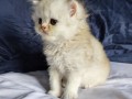 https://www.waibe.fr/sites/delphine59h/medias/images/__HIDDEN__galerie_25/IMG_20260908_142216.jpg