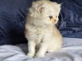 https://www.waibe.fr/sites/delphine59h/medias/images/__HIDDEN__galerie_25/IMG_20260908_142218.jpg