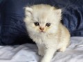 https://www.waibe.fr/sites/delphine59h/medias/images/__HIDDEN__galerie_25/IMG_20260908_142220.jpg