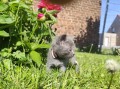 https://www.waibe.fr/sites/delphine59h/medias/images/__HIDDEN__galerie_26/IMG_20260424_164622.jpg