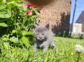 https://www.waibe.fr/sites/delphine59h/medias/images/__HIDDEN__galerie_26/IMG_20260424_164624_1.jpg