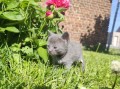 https://www.waibe.fr/sites/delphine59h/medias/images/__HIDDEN__galerie_26/IMG_20260424_164629.jpg