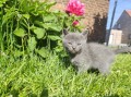 https://www.waibe.fr/sites/delphine59h/medias/images/__HIDDEN__galerie_26/IMG_20260424_164641.jpg