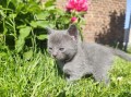 https://www.waibe.fr/sites/delphine59h/medias/images/__HIDDEN__galerie_26/IMG_20260424_164646_1.jpg