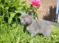 https://www.waibe.fr/sites/delphine59h/medias/images/__HIDDEN__galerie_26/IMG_20260424_164647.jpg