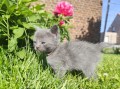 https://www.waibe.fr/sites/delphine59h/medias/images/__HIDDEN__galerie_26/IMG_20260424_164652.jpg