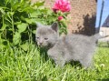 https://www.waibe.fr/sites/delphine59h/medias/images/__HIDDEN__galerie_26/IMG_20260424_164653.jpg