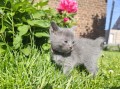 https://www.waibe.fr/sites/delphine59h/medias/images/__HIDDEN__galerie_26/IMG_20260424_164654.jpg
