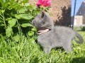 https://www.waibe.fr/sites/delphine59h/medias/images/__HIDDEN__galerie_26/IMG_20260424_164702.jpg