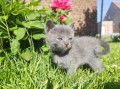 https://www.waibe.fr/sites/delphine59h/medias/images/__HIDDEN__galerie_26/IMG_20260424_164705.jpg