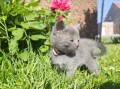 https://www.waibe.fr/sites/delphine59h/medias/images/__HIDDEN__galerie_26/IMG_20260424_164706.jpg