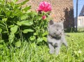 https://www.waibe.fr/sites/delphine59h/medias/images/__HIDDEN__galerie_26/IMG_20260424_164713.jpg