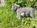 https://www.waibe.fr/sites/delphine59h/medias/images/__HIDDEN__galerie_26/IMG_20260424_164721.jpg