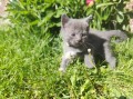 https://www.waibe.fr/sites/delphine59h/medias/images/__HIDDEN__galerie_26/IMG_20260424_164722.jpg