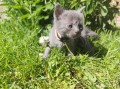 https://www.waibe.fr/sites/delphine59h/medias/images/__HIDDEN__galerie_26/IMG_20260424_164726.jpg