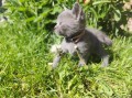 https://www.waibe.fr/sites/delphine59h/medias/images/__HIDDEN__galerie_26/IMG_20260424_164727.jpg