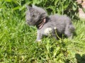 https://www.waibe.fr/sites/delphine59h/medias/images/__HIDDEN__galerie_26/IMG_20260424_164731.jpg