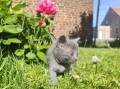 https://www.waibe.fr/sites/delphine59h/medias/images/__HIDDEN__galerie_26/IMG_20260424_164736.jpg
