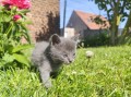 https://www.waibe.fr/sites/delphine59h/medias/images/__HIDDEN__galerie_26/IMG_20260424_164740.jpg
