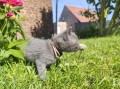 https://www.waibe.fr/sites/delphine59h/medias/images/__HIDDEN__galerie_26/IMG_20260424_164745.jpg