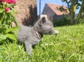 https://www.waibe.fr/sites/delphine59h/medias/images/__HIDDEN__galerie_26/IMG_20260424_164746.jpg