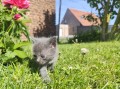 https://www.waibe.fr/sites/delphine59h/medias/images/__HIDDEN__galerie_26/IMG_20260424_164748.jpg