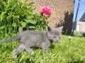 https://www.waibe.fr/sites/delphine59h/medias/images/__HIDDEN__galerie_26/IMG_20260424_164807_1.jpg