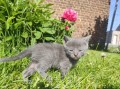 https://www.waibe.fr/sites/delphine59h/medias/images/__HIDDEN__galerie_26/IMG_20260424_164808.jpg