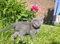 https://www.waibe.fr/sites/delphine59h/medias/images/__HIDDEN__galerie_26/IMG_20260424_164809.jpg