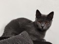 https://www.waibe.fr/sites/delphine59h/medias/images/__HIDDEN__galerie_26/IMG_20260908_143120.jpg