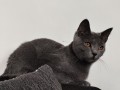 https://www.waibe.fr/sites/delphine59h/medias/images/__HIDDEN__galerie_26/IMG_20260908_143121.jpg