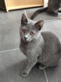 https://www.waibe.fr/sites/delphine59h/medias/images/__HIDDEN__galerie_26/IMG_20260908_144304.jpg