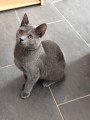 https://www.waibe.fr/sites/delphine59h/medias/images/__HIDDEN__galerie_26/IMG_20260908_144357.jpg